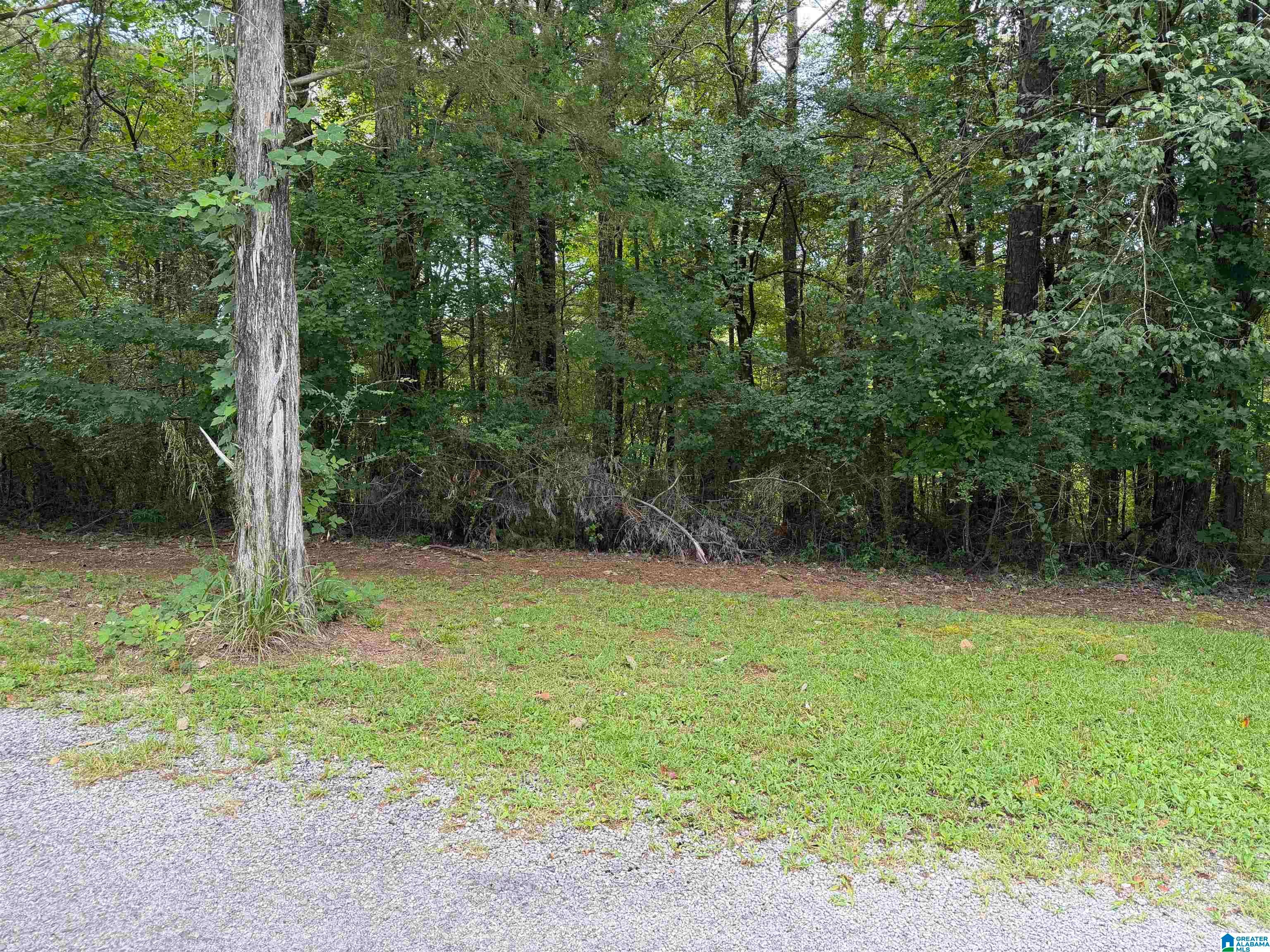 307 GREEN ROAD 0
