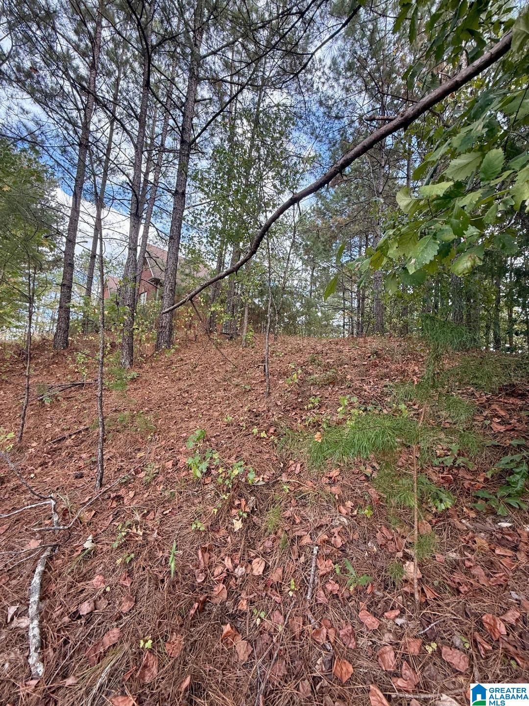 325 DEER RIDGE LANE 29