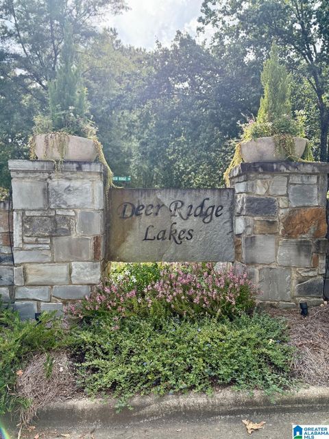 325 DEER RIDGE LANE 29 CHELSEA AL 35043