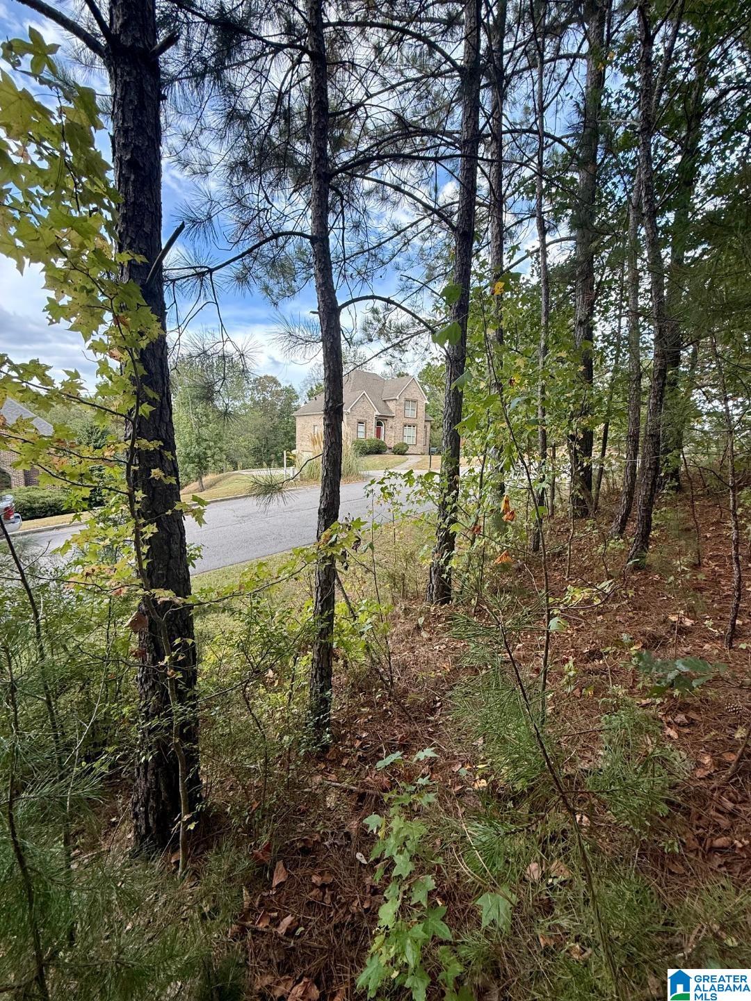325 DEER RIDGE LANE 29