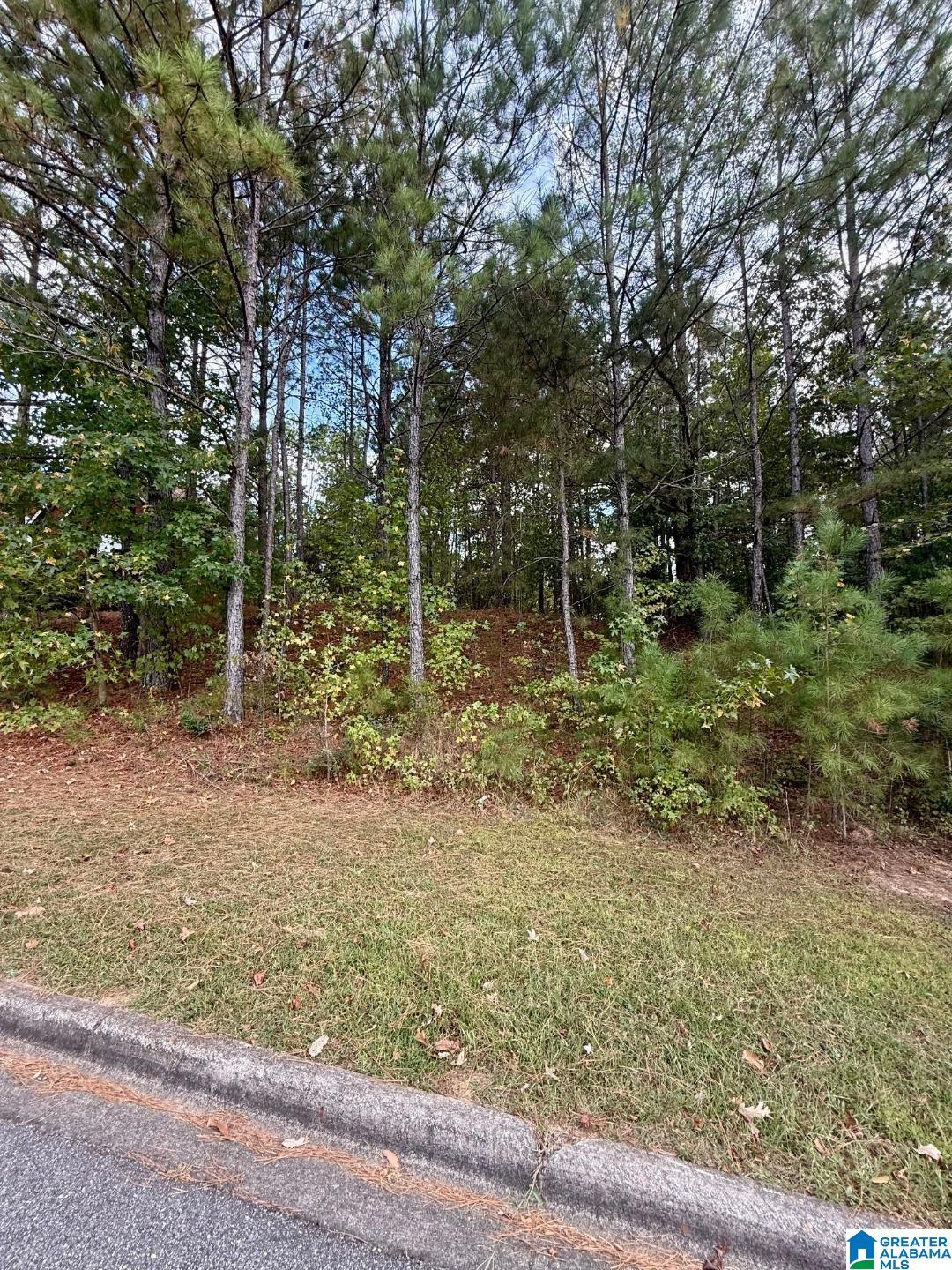 325 DEER RIDGE LANE 29