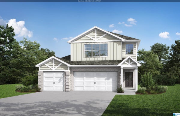 ADDRESS PRIVATE, WOODSTOCK, AL  - Image ae24d6bb5ee261ddc2202101f02dc48d/3797109049