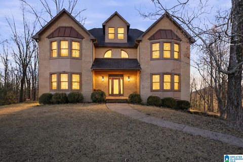 6000 VICTORIA LANE PINSON AL 35126