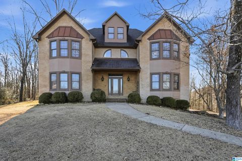 6000 VICTORIA LANE PINSON AL 35126