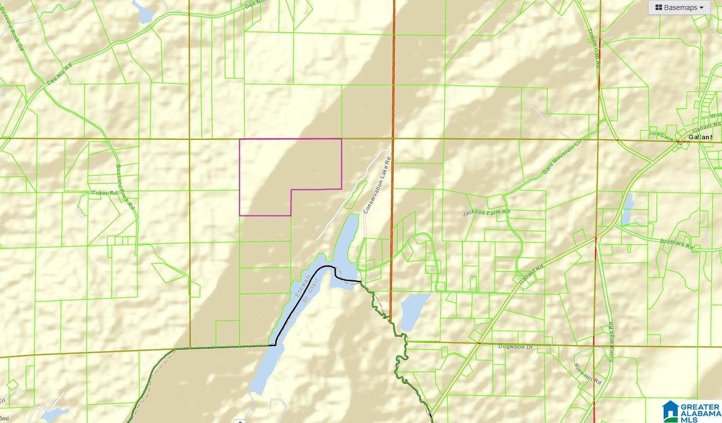 0 BUZZARD ROCK ROAD 0