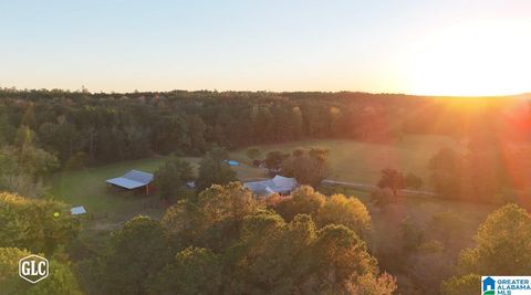 1965 CAMP BROWNIE ROAD CHILDERSBURG AL 35044