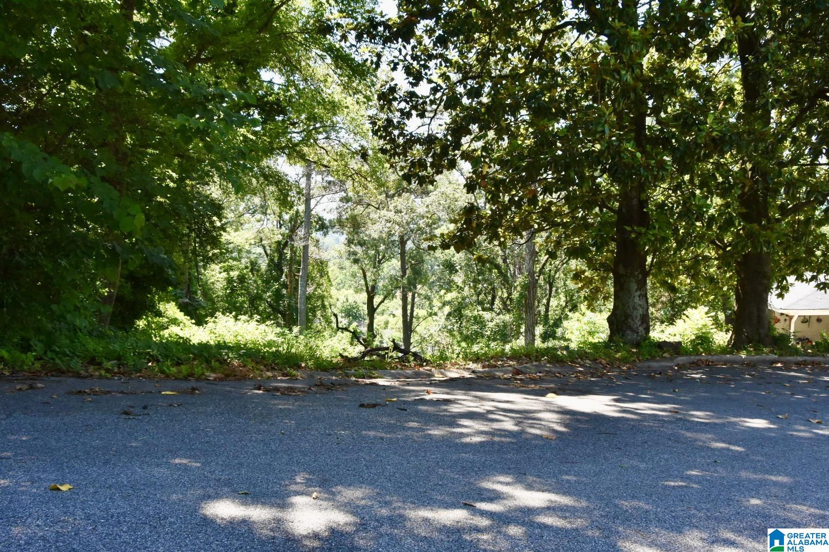 1509 BECKHAM DRIVE 17