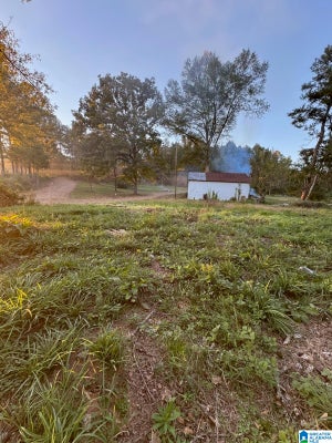 15806 HIGHWAY 82 E # 1, DUNCANVILLE, AL 35456 - Image ae99da336b0b4a5e8e7fb079e17e00cc/4017823708