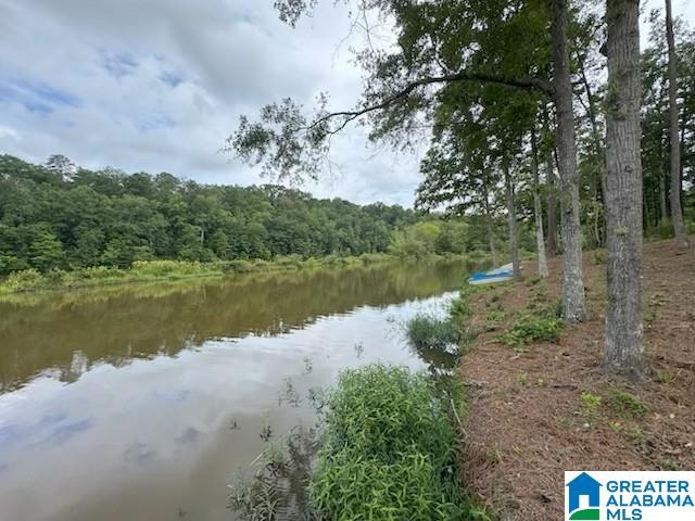 Lot 9 COUNTY ROAD 499 Lot 8