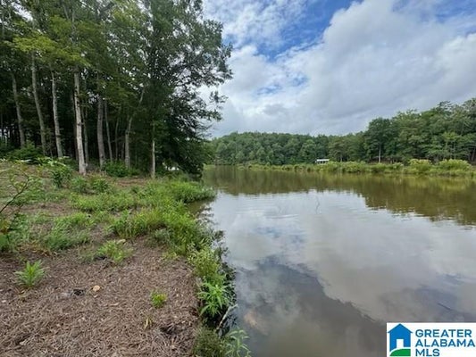 9 COUNTY RD 499, WOODLAND, AL 36280 - Image aeb9cb6da3fe22953e2e6c850b1fb936/2531350159