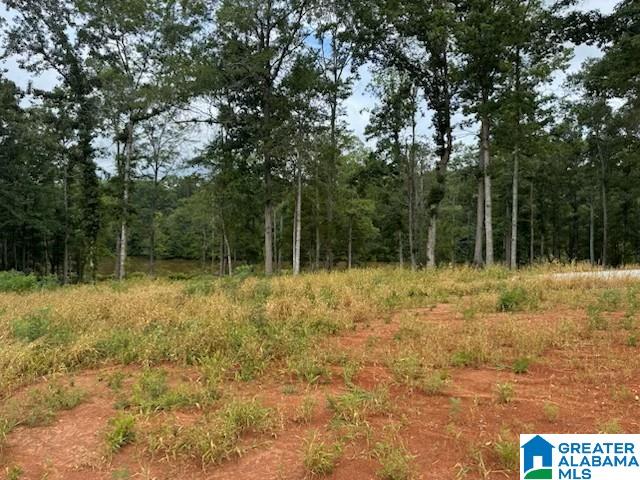 Lot 9 COUNTY ROAD 499 Lot 8