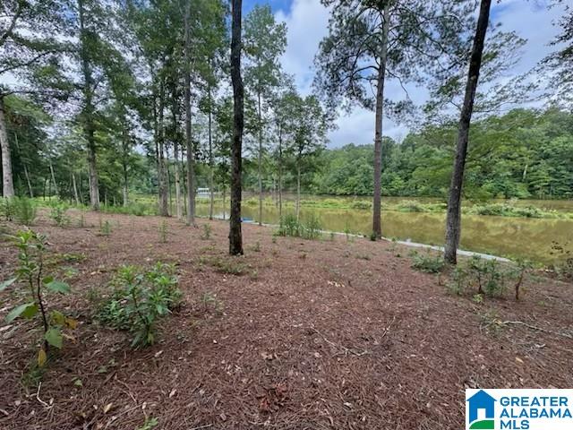 Lot 9 COUNTY ROAD 499 Lot 8
