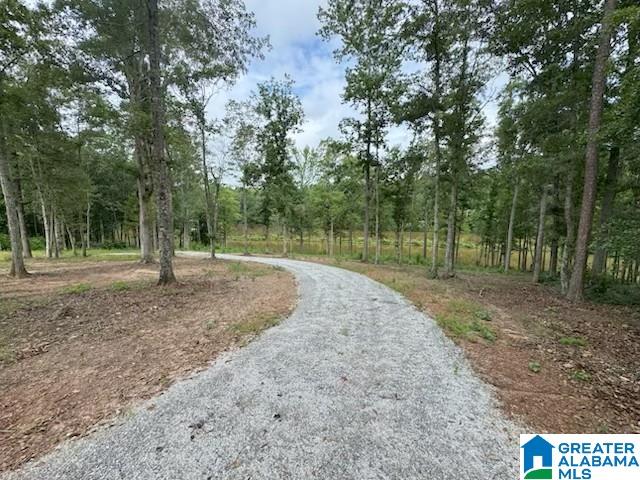 Lot 9 COUNTY ROAD 499 Lot 8