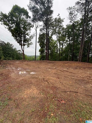 5130 CORNELL DR # 20, IRONDALE, AL 35210 - Image aecd2063ac9e2df71d3eb187a122fe5f/734249441