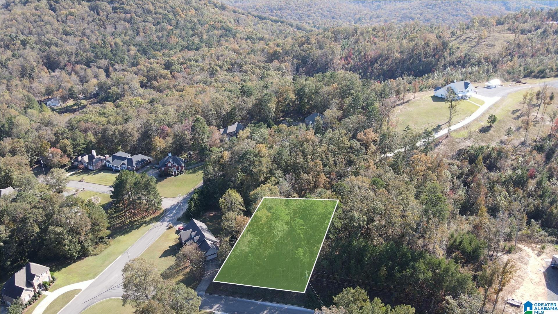 Photo 1 of 4 — 6191 DEER RIDGE RUN 37, PINSON, AL 35126