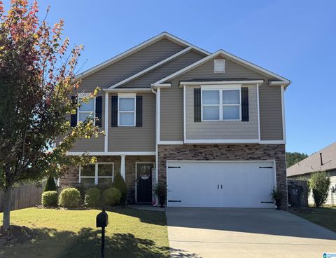 325 BLACKBERRY BOULEVARD SPRINGVILLE AL 35146