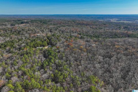 11123 COUNTY ROAD 73 MONTEVALLO AL 35115