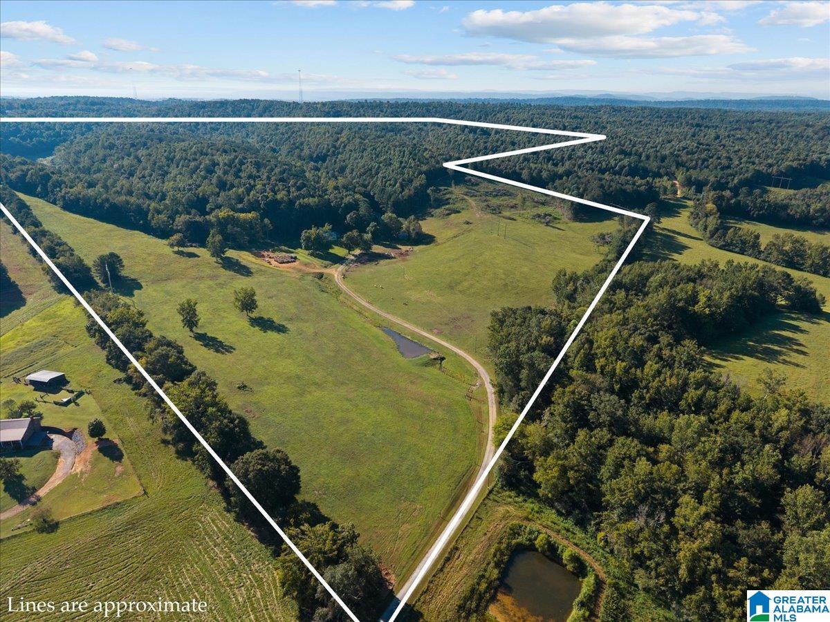 399 CHRISTMAS TREE LANE