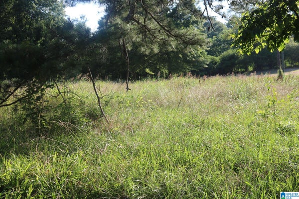 174 POPLAR SPRINGS DR # 1, SYLVAN SPRINGS, AL 35118 - Image af80613cef4014fa4f75f4cf5de73d5d/8841607