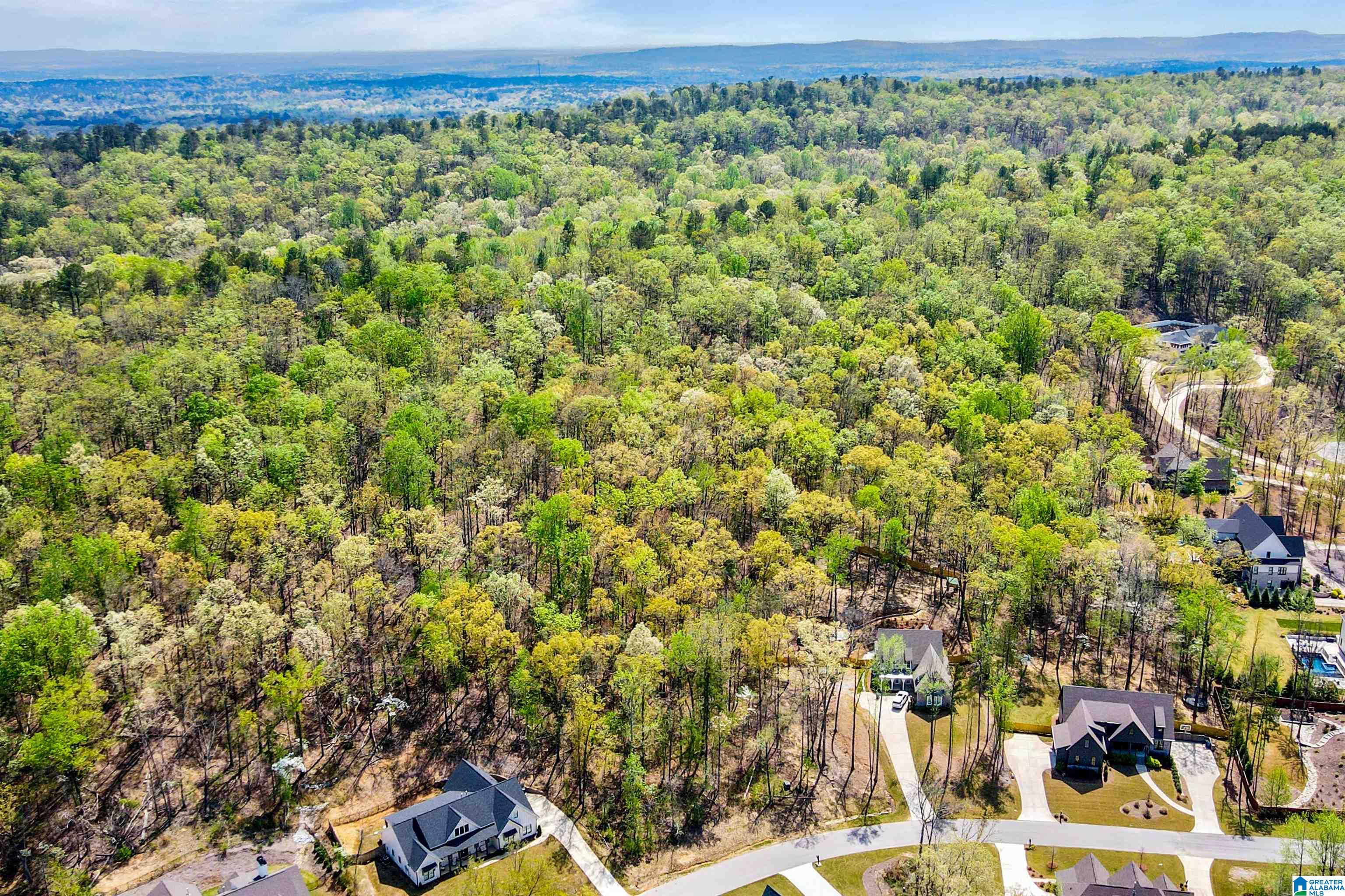 712 HICKORY HOLLOW 17
