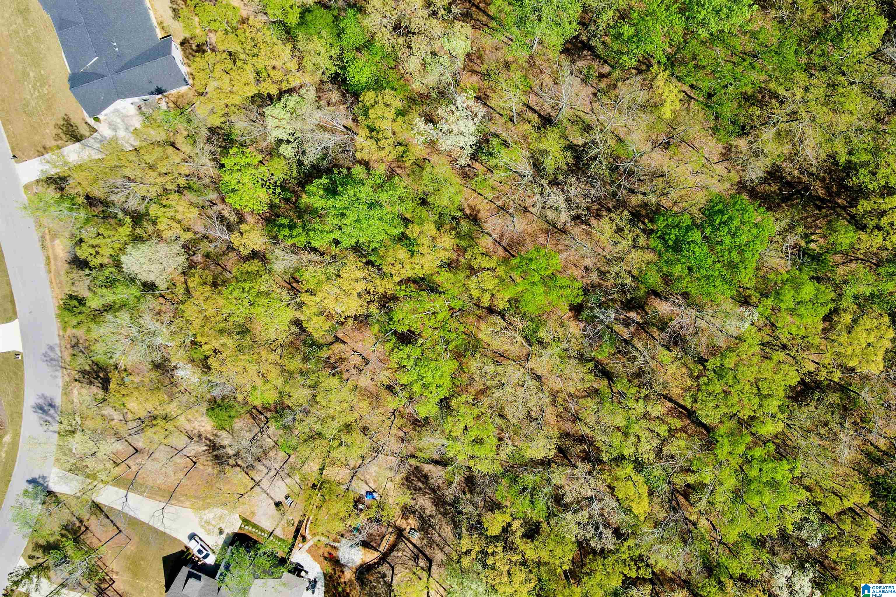 712 HICKORY HOLLOW 17