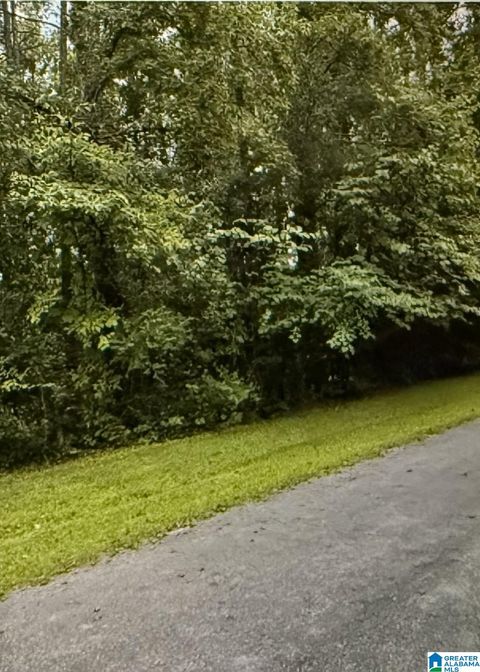 LOT 45 & 46 WOODSIDE STREET LOTS 45&46 CHILDERSBURG AL 35044