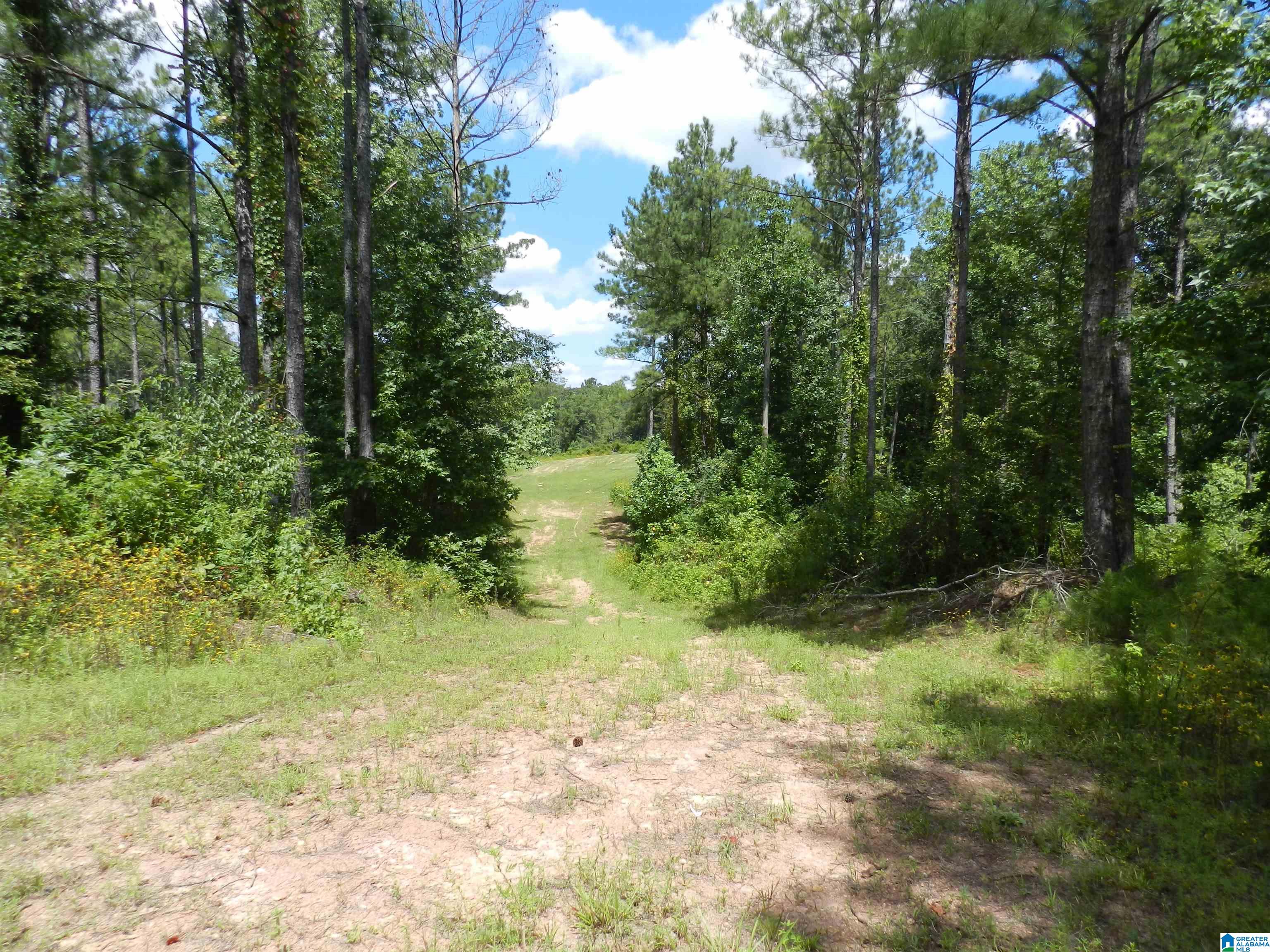 308 COUNTY ROAD 1039 06