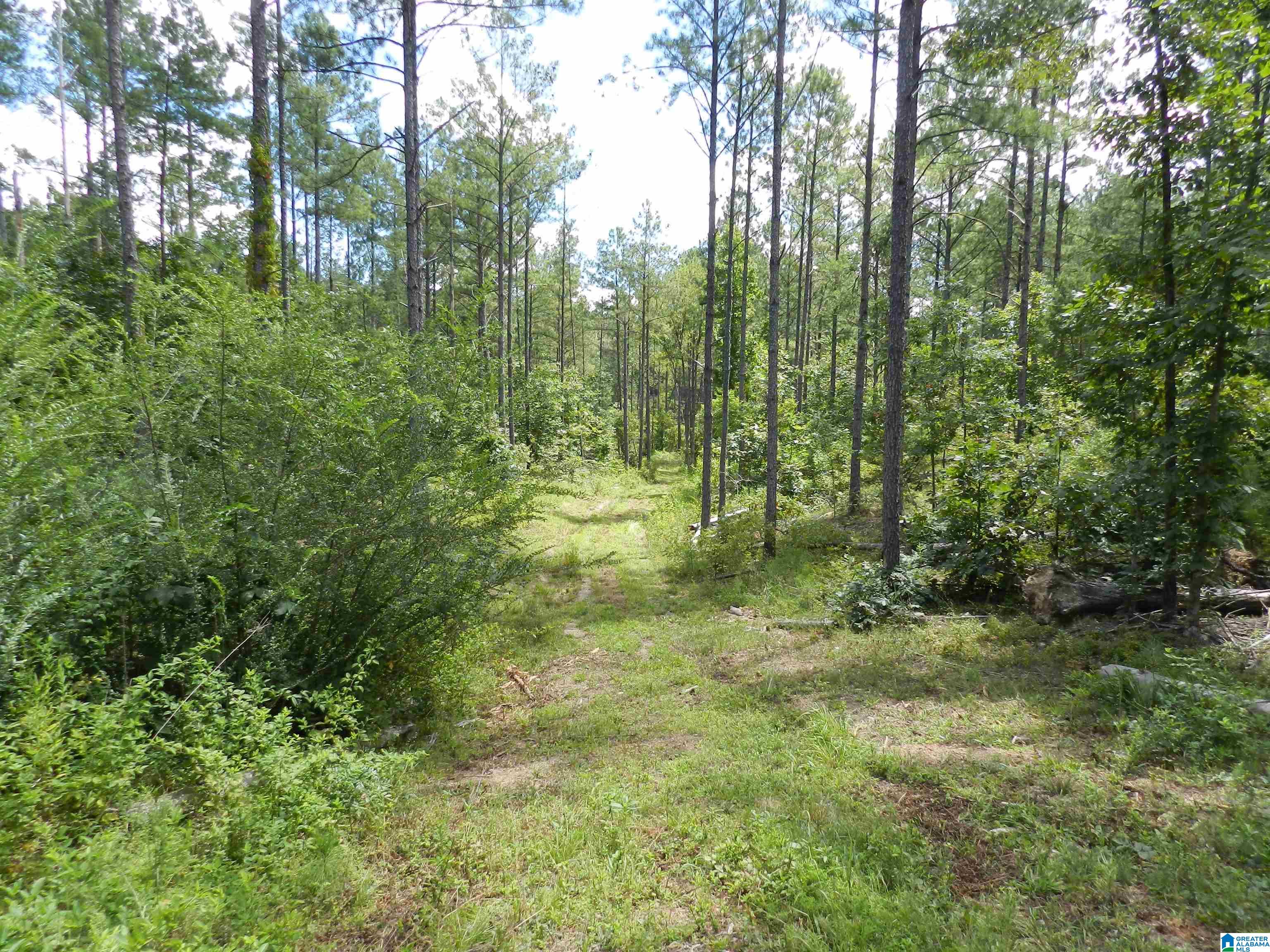 308 COUNTY ROAD 1039 06