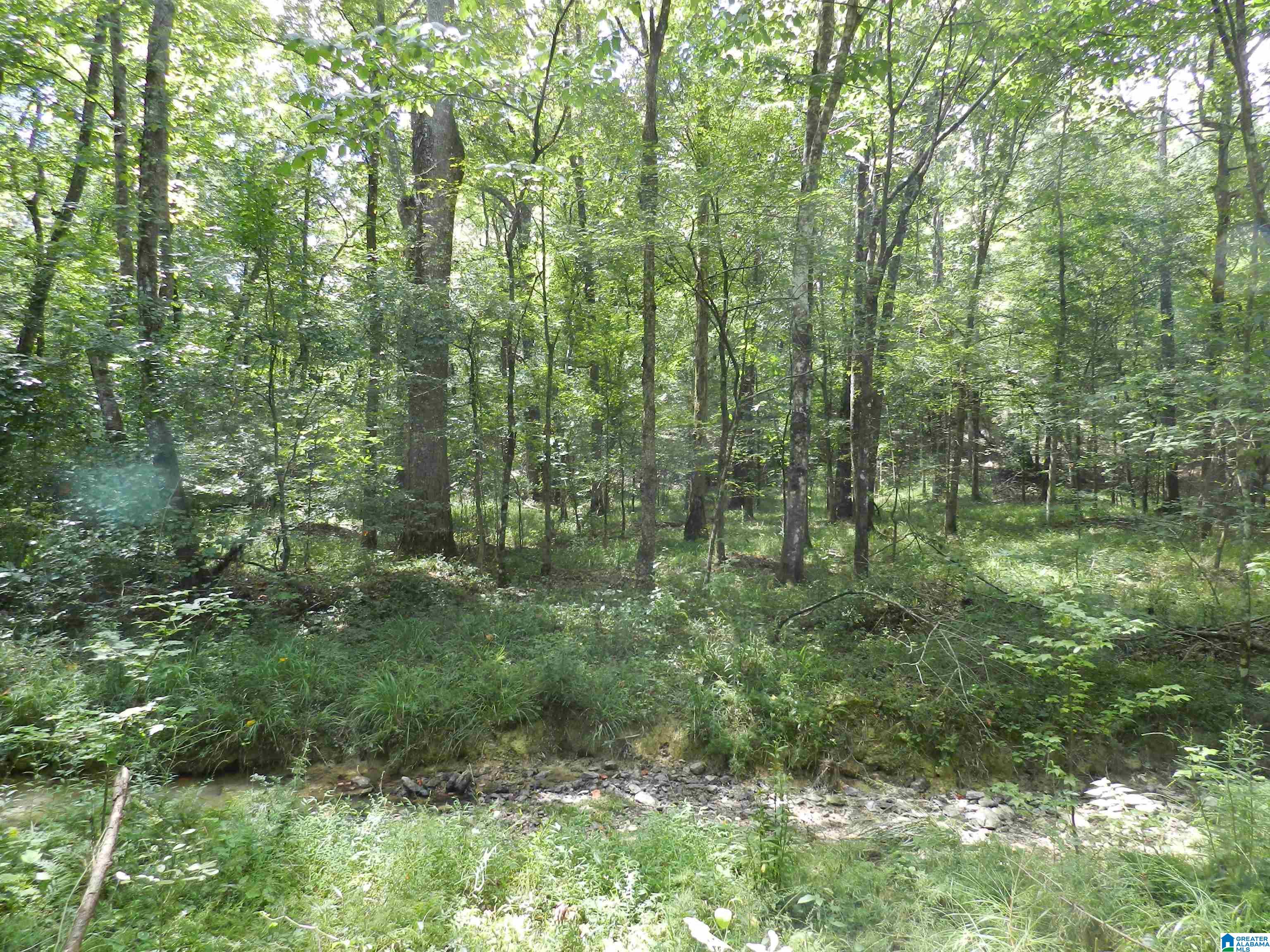 308 COUNTY ROAD 1039 06