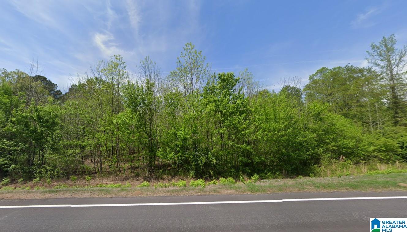 22731 US HIGHWAY 11 -