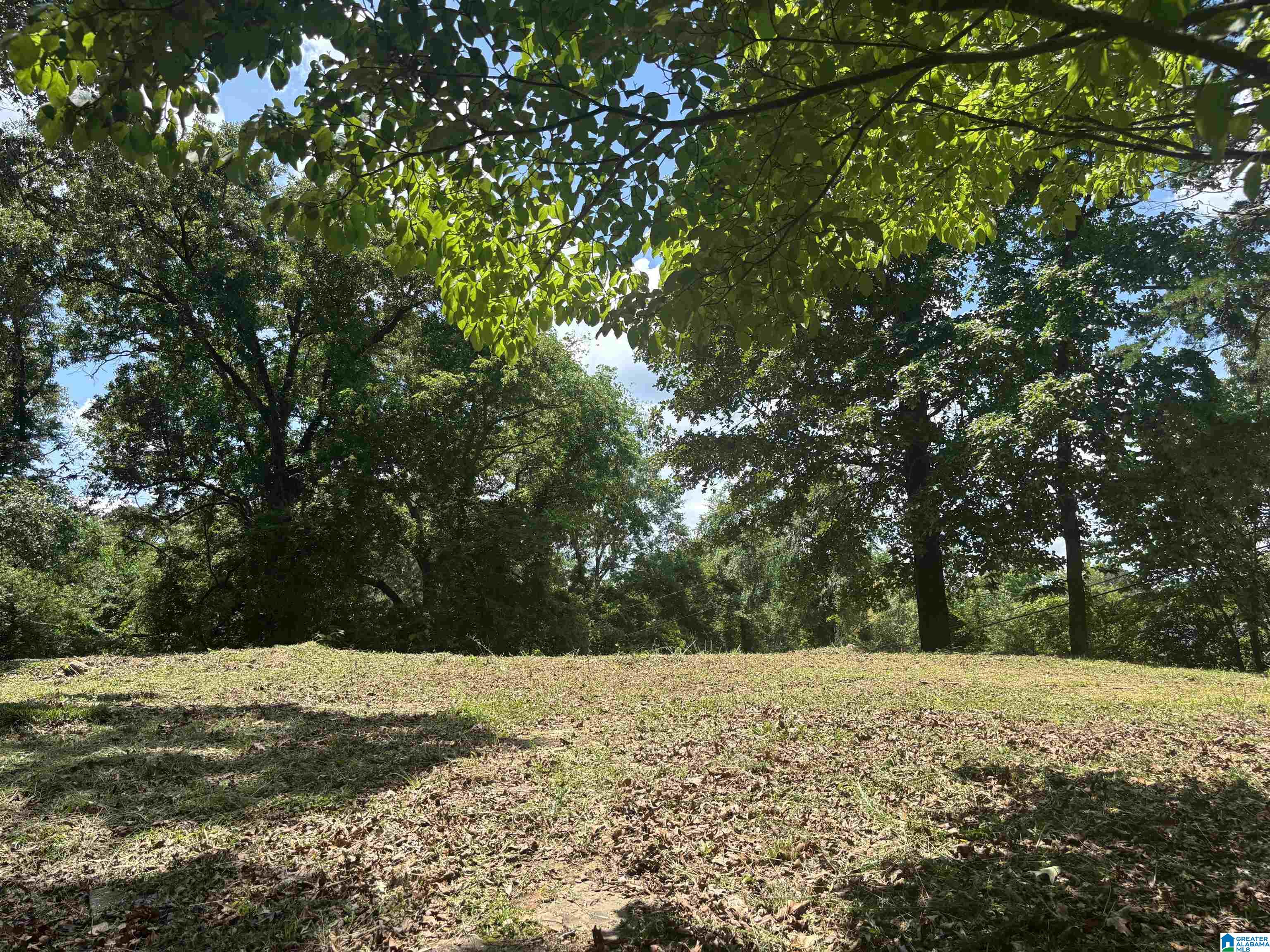 Photo 1 of 15 — 224 IRIS DRIVE 000, GARDENDALE, AL 35071