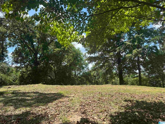 224 IRIS DR # 000, GARDENDALE, AL 35071 - Image b0079a833d9ff14ea0c19b80b89b1a24/2097821655