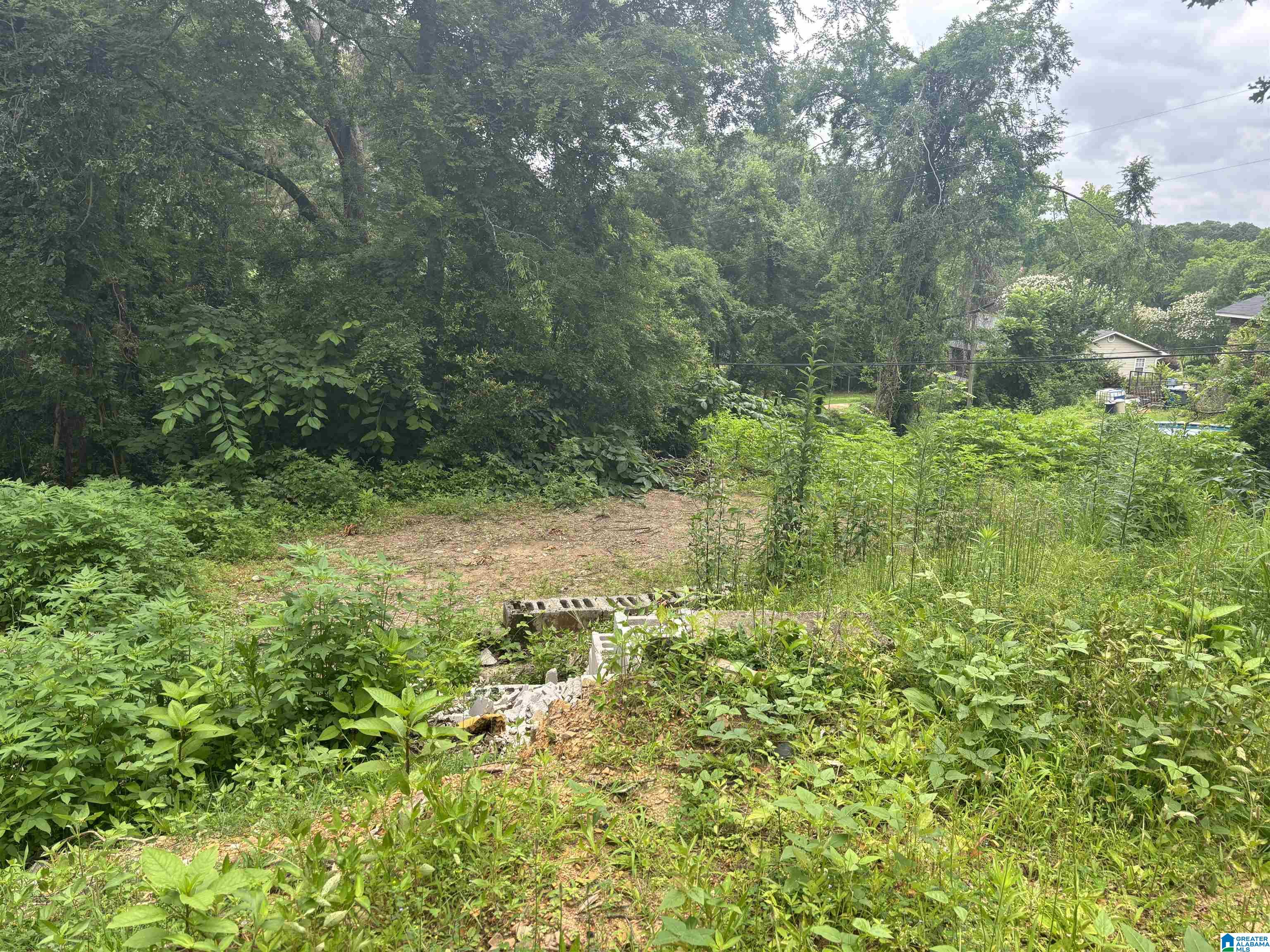 224 IRIS DRIVE 000