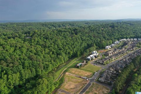 313 YELLOW WOOD LANE PUD BIRMINGHAM AL 35173