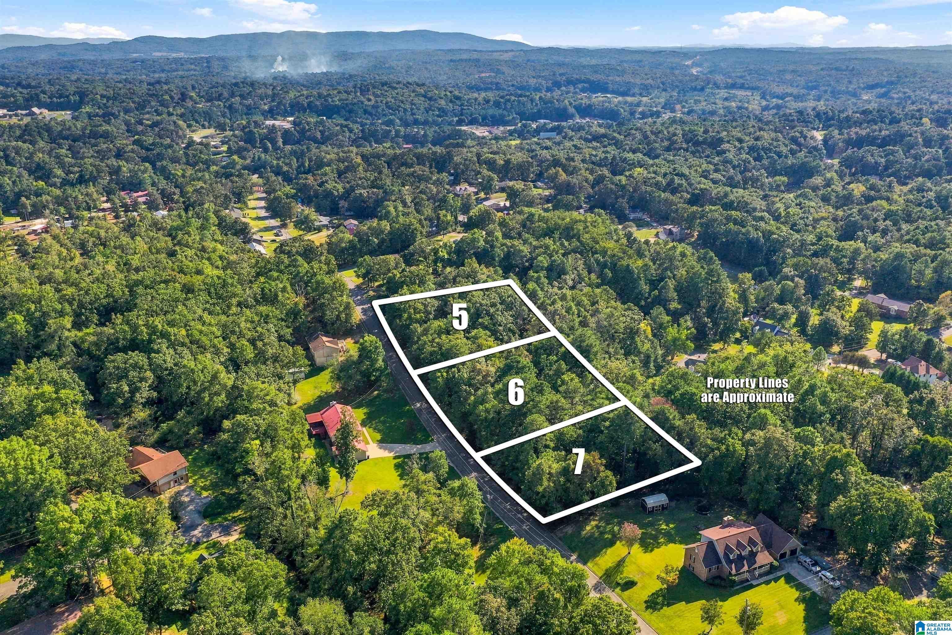 HOLLY TRACE 5-7