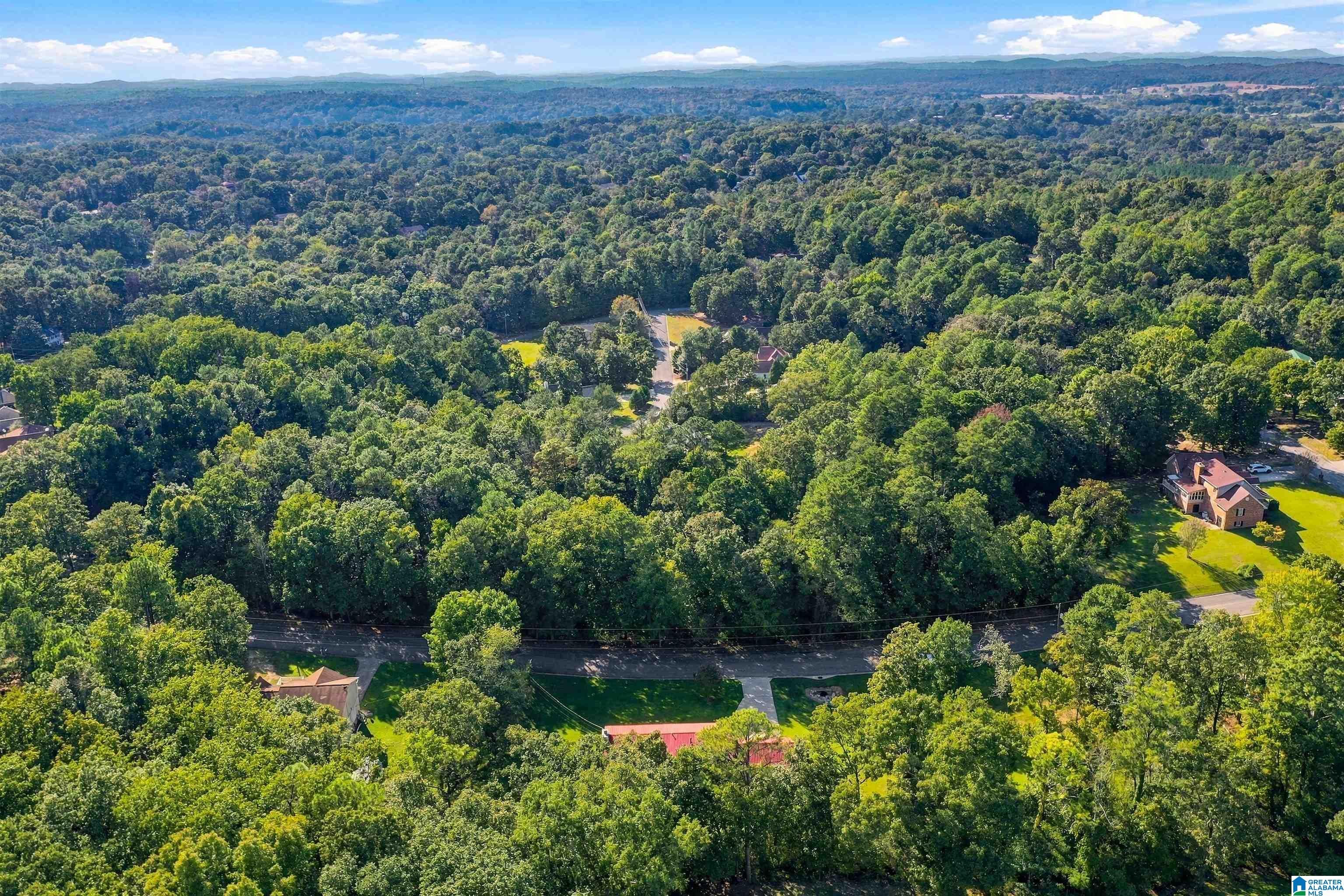 HOLLY TRACE 5-7