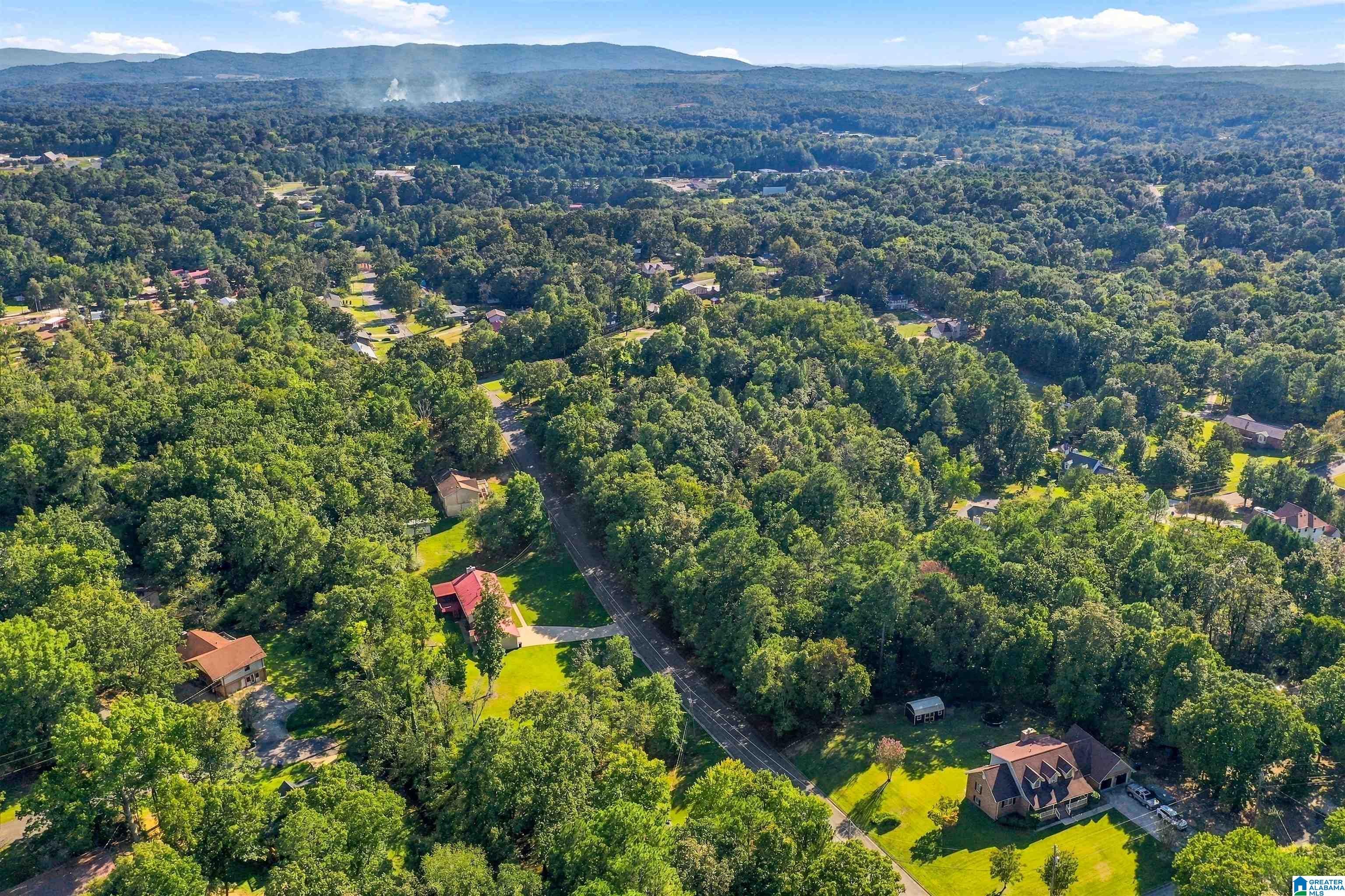 HOLLY TRACE 5-7