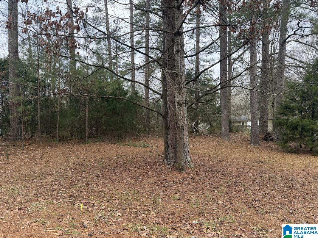 Photo 1 of 5 — 433 6TH STREET N 17, PELL CITY, AL 35125