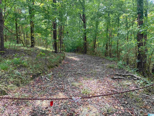7274 TAYLORS FERRY RD # 1, BESSEMER, AL 35023 - Image b13b3d6ff94217f0824bee8d3d06cbbc/1536201340