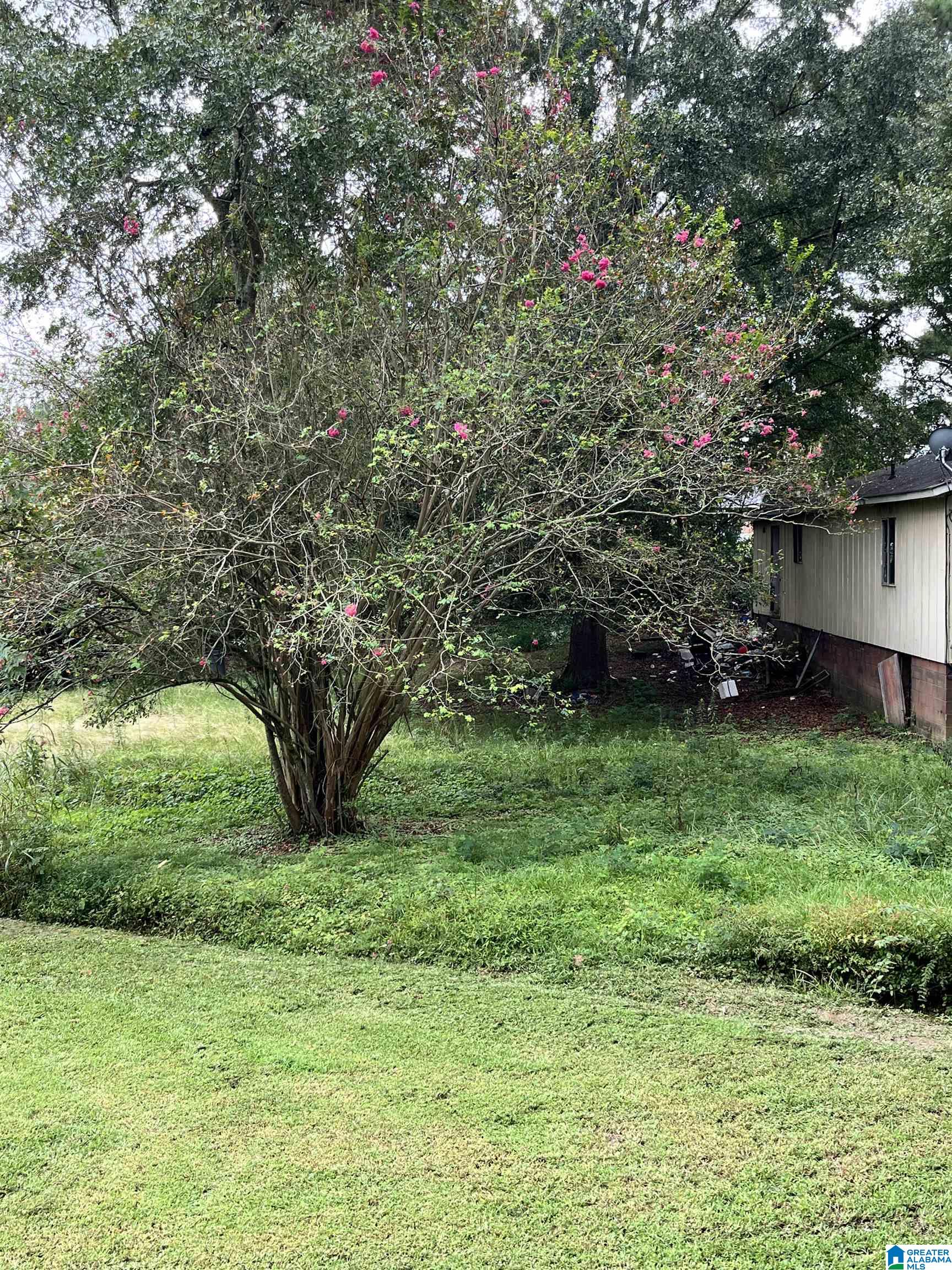 37308 HIGHWAY 79