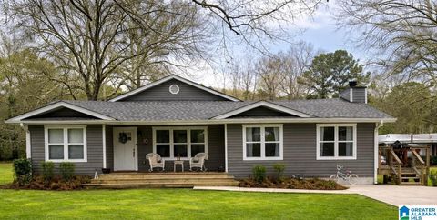 10 DOROTHY DRIVE SPRINGVILLE AL 35146