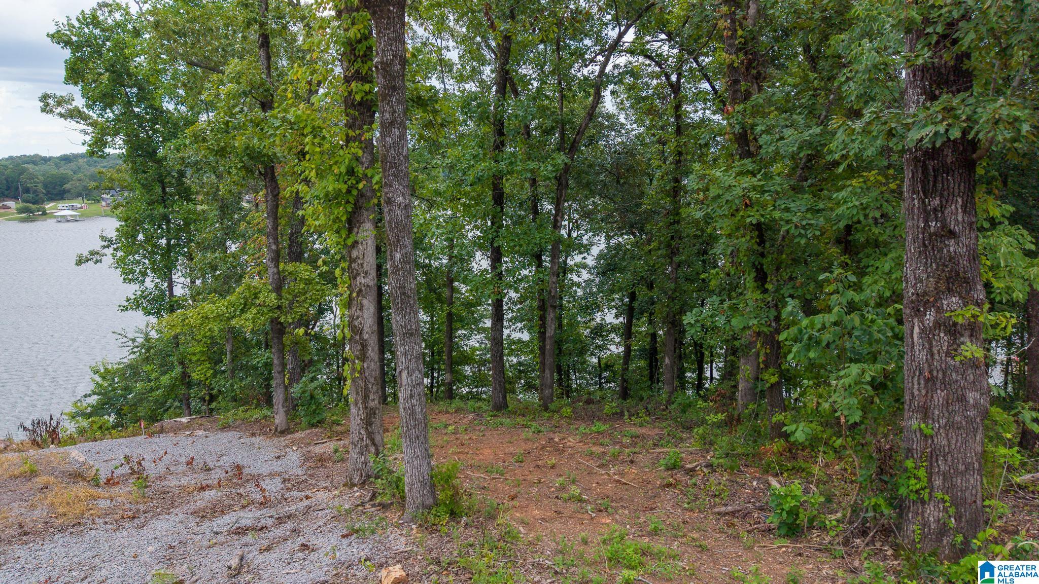 767 LAKEVIEW CREST DRIVE 1