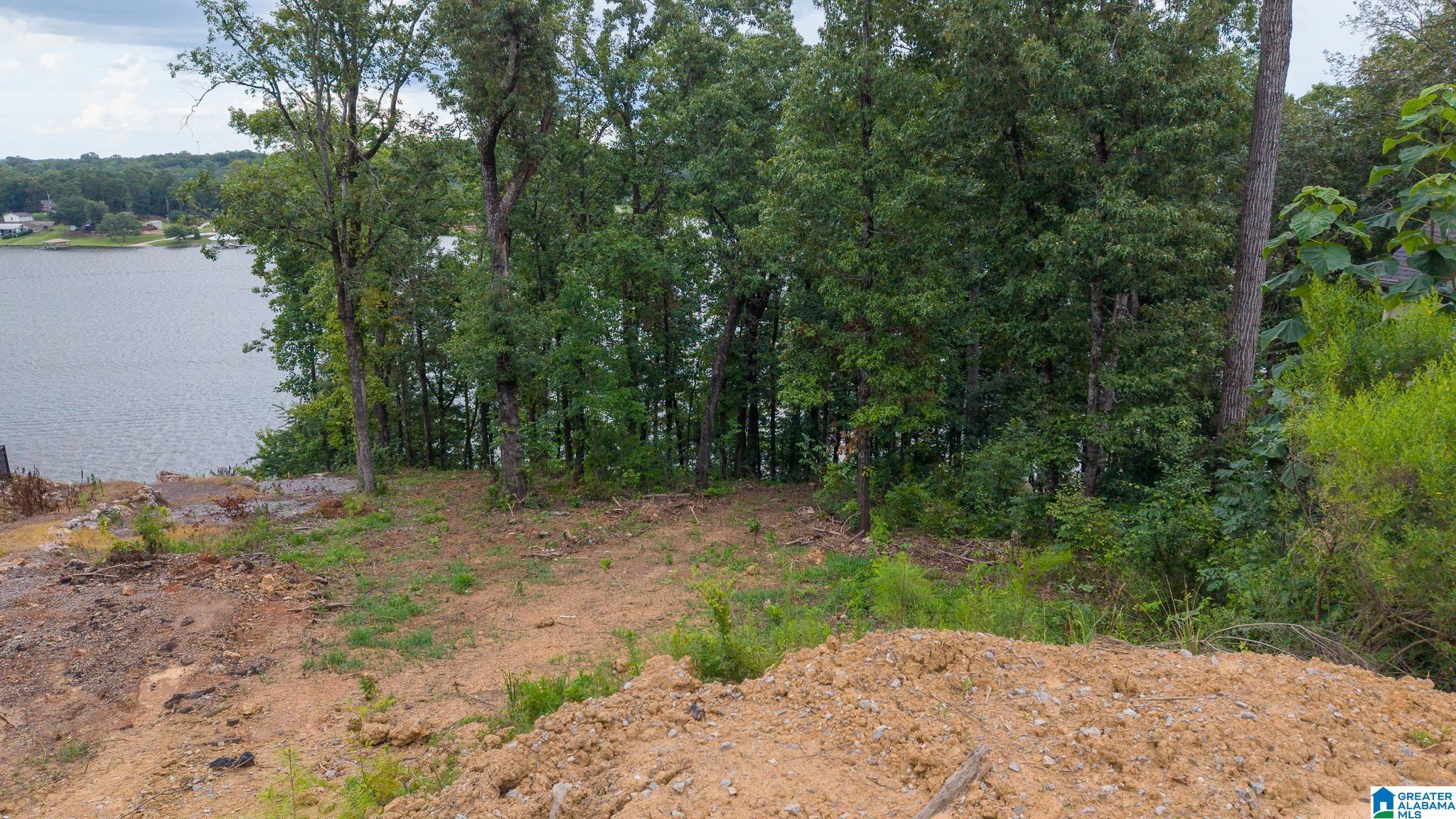 767 LAKEVIEW CREST DRIVE 1