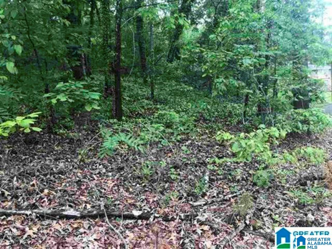 Photo 1 of 4 — 1400 29TH AVENUE N 31, HUEYTOWN, AL 35023