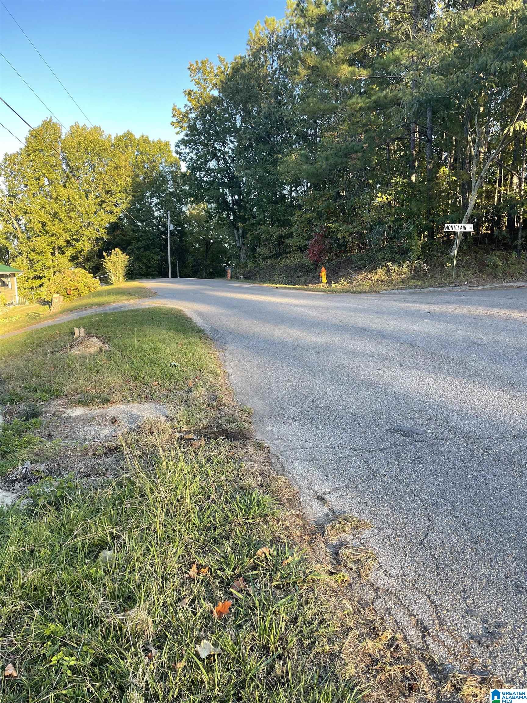 Photo 1 of 6 — 0 EMI GIL ROAD 14, OXFORD, AL 36203