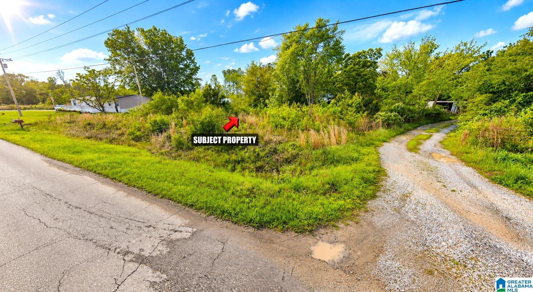 495 COUNTY ROAD 65 0