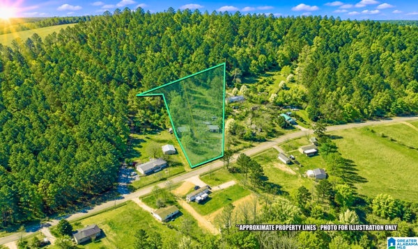 495 COUNTY ROAD 65 # 0, CENTRE, AL 35960 - Image b1db3b6ef0f981bfdfb4cbca21238f39/848506696