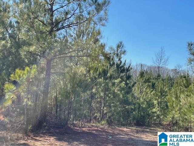 SANSING CIRCLE 9-19, 24-27