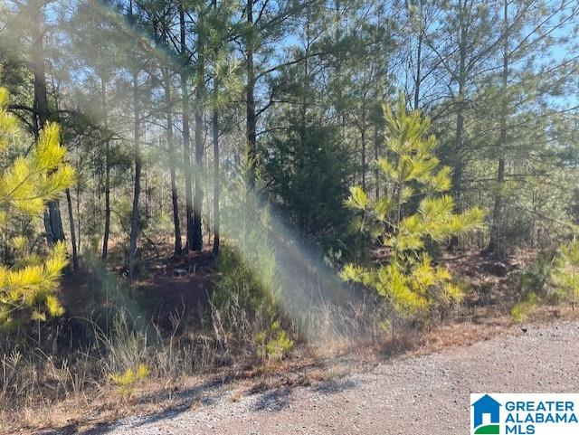 SANSING CIRCLE 9-19, 24-27