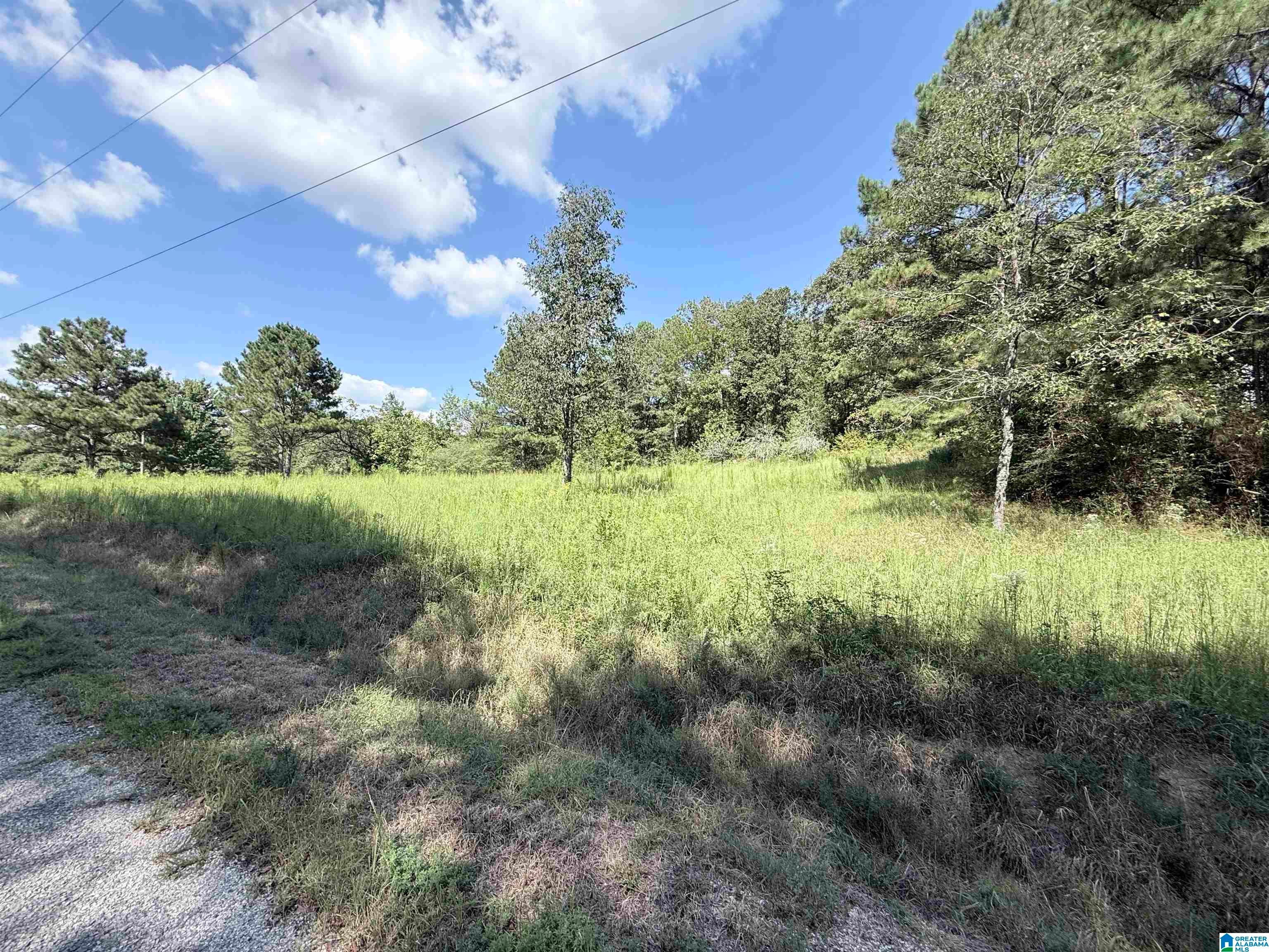7 STONE RIDGE TRAIL S 1